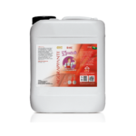 Aggrappante e livellante BASE lt.5