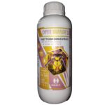Cyper Barrier 10